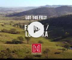 Farnan / Lolanka Filly
