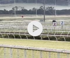 Sword of State / Lady Rain Colt