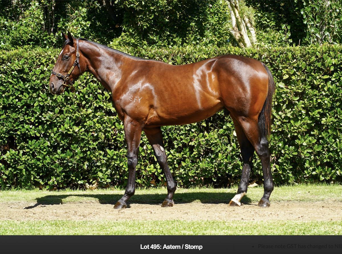 horse-image
