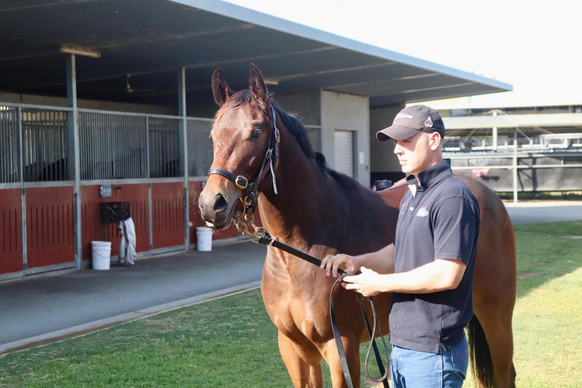 Ave Cantare (2yo filly by Microphone)