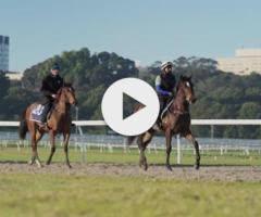 Pierro/Poetic Harmony '24