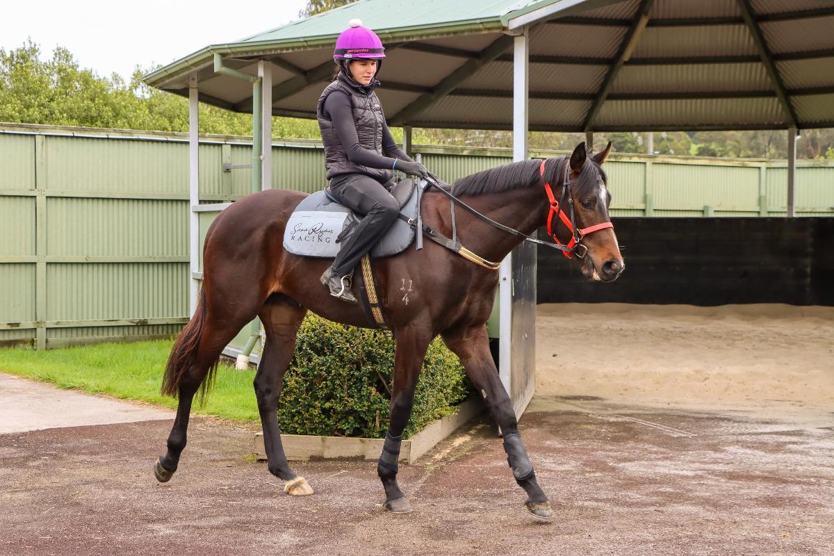 So You Think 2yo colt