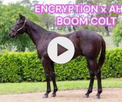 A Colt - Encryption x Ah La Boom