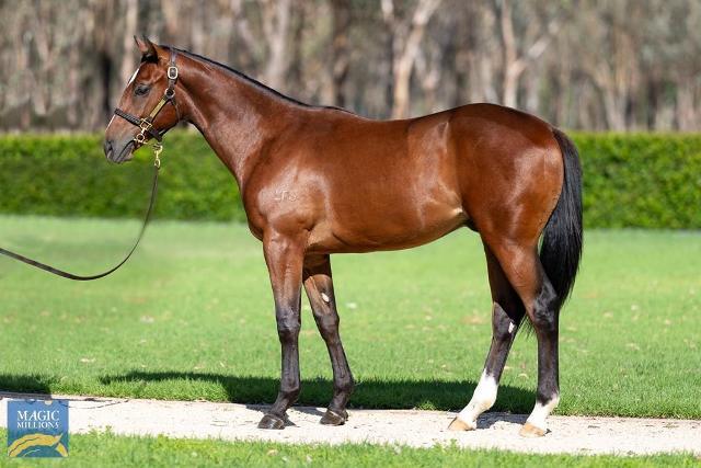 Prague x Barjas '22 Colt