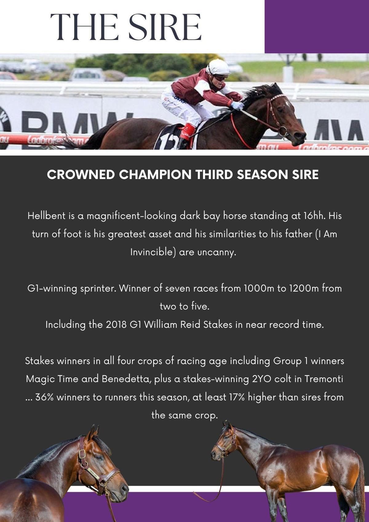 Hellbent x Pierro Moss