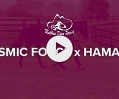 Cosmic Force x Hamama