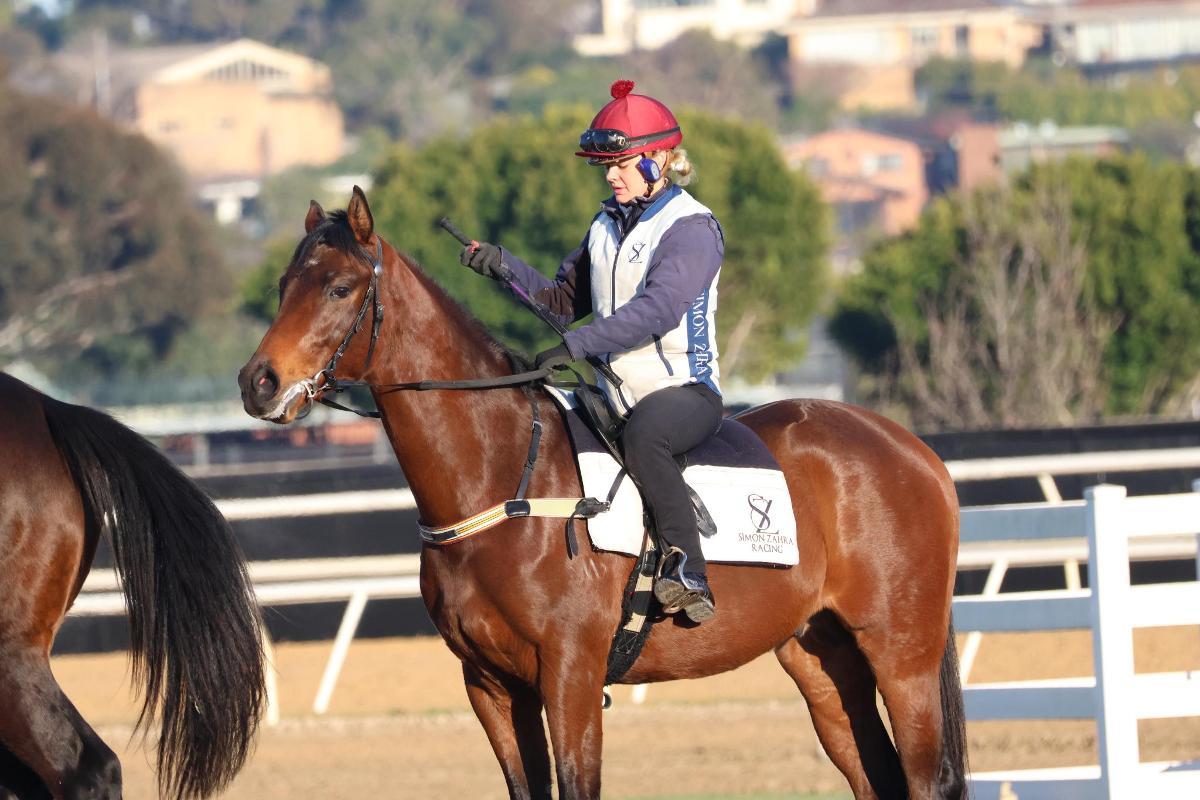 horse-image
