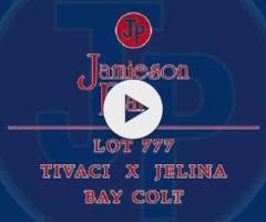 Tivaci x Jelina