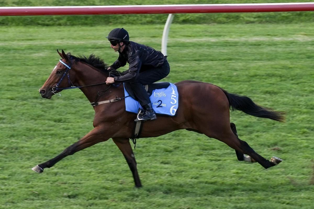 horse-image