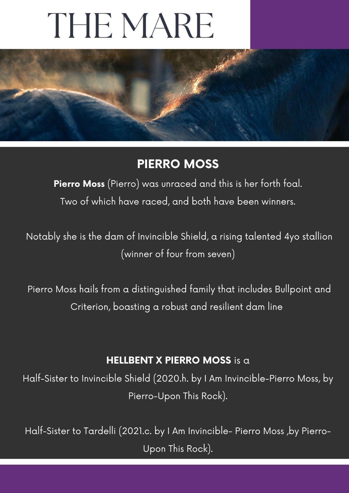 Hellbent x Pierro Moss