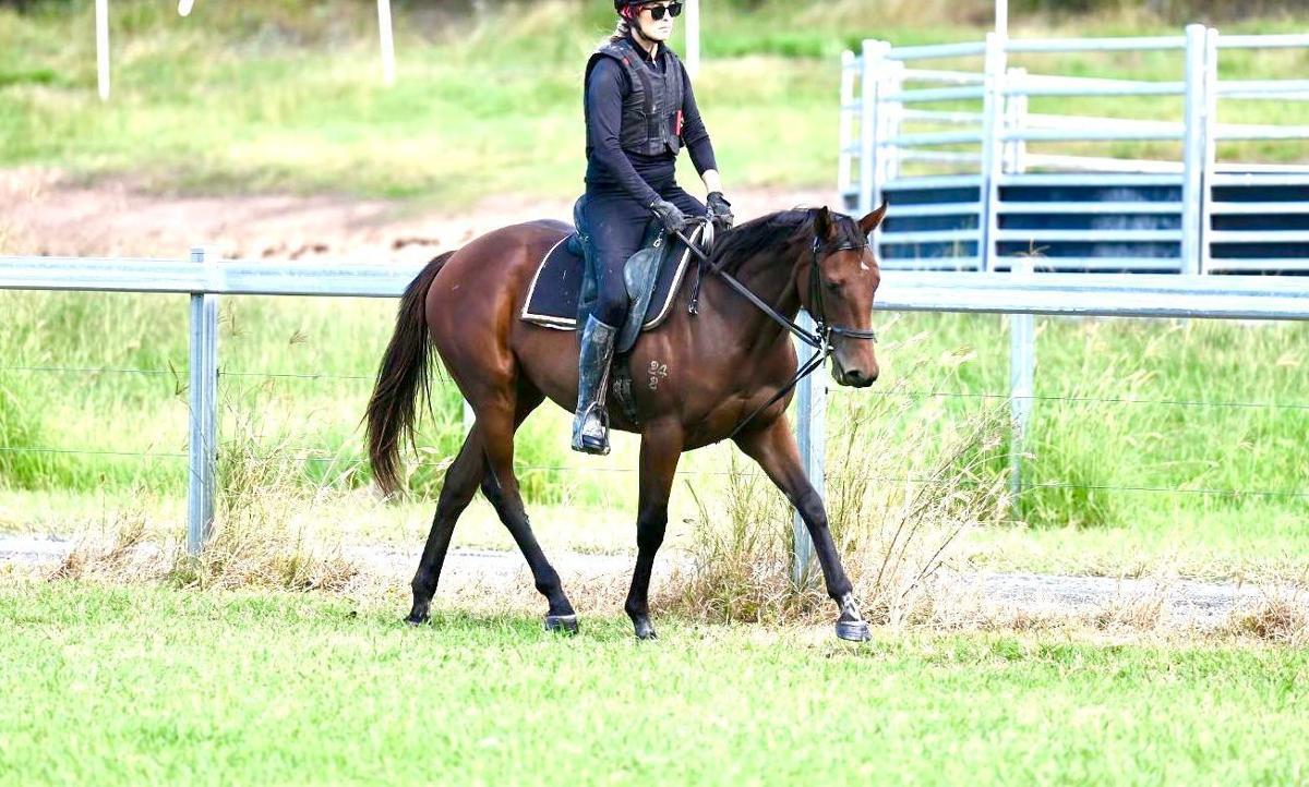 Microphone Filly