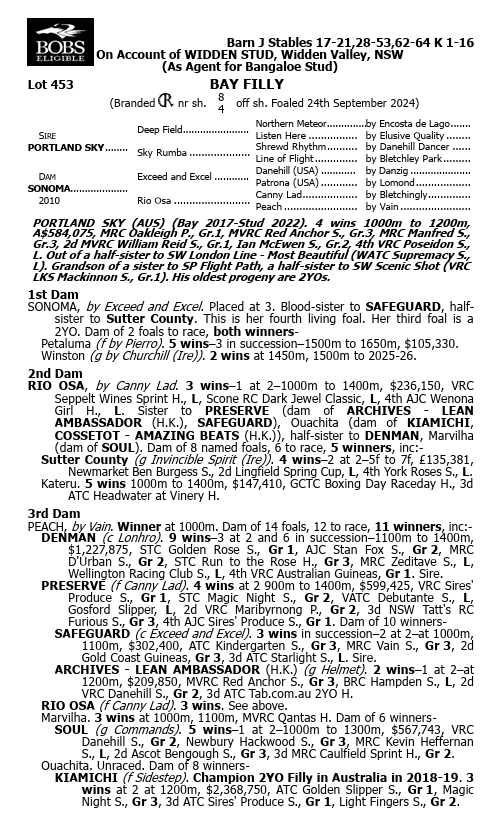 PORTLAND SKY  / SONOMA FILLY
