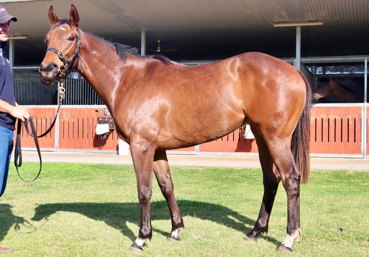 Ave Cantare (2yo filly by Microphone)