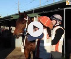 Too Darn Hot x Saunter colt