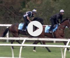 Captivant x Enstone Colt 24