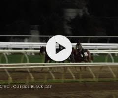 Castelvecchio x Roseito Colt
