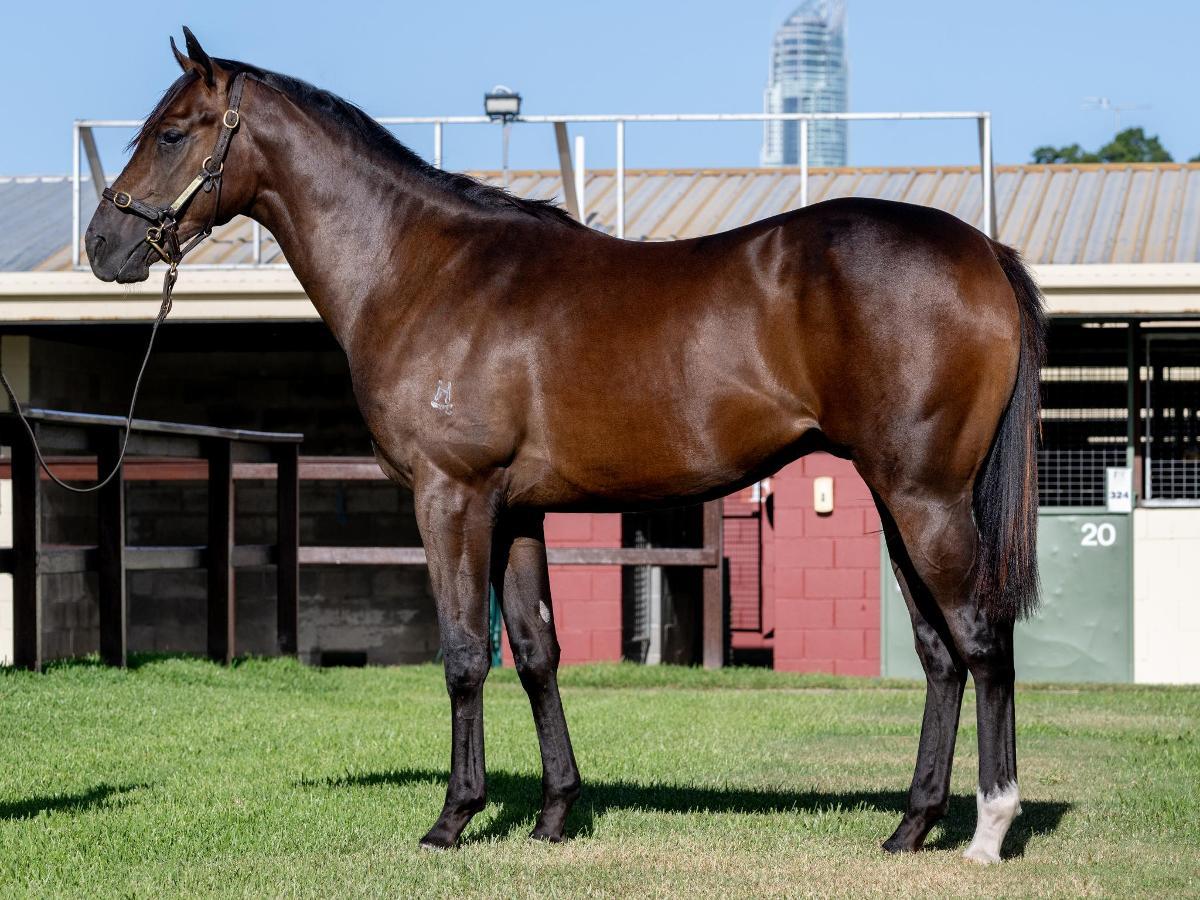 Spirit of Boom x Chloe's Comet