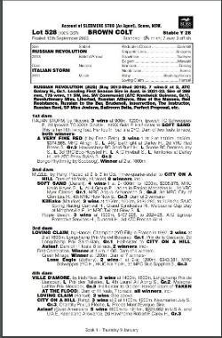 A colt : Russian Revolution x Italian Storm