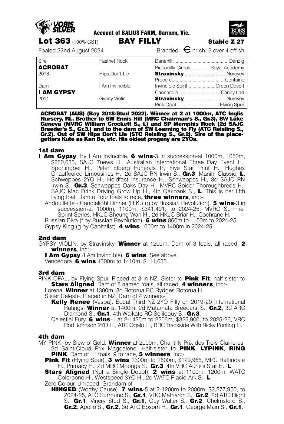 Acrobat x I Am Gypsy Filly