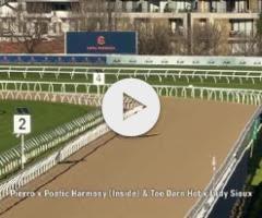 Pierro/Poetic Harmony '24