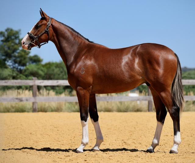 Dundeel x La Amistad