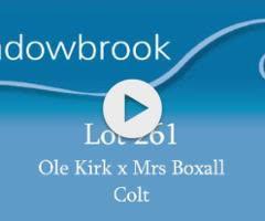 Ole Kirk x Mrs Boxall