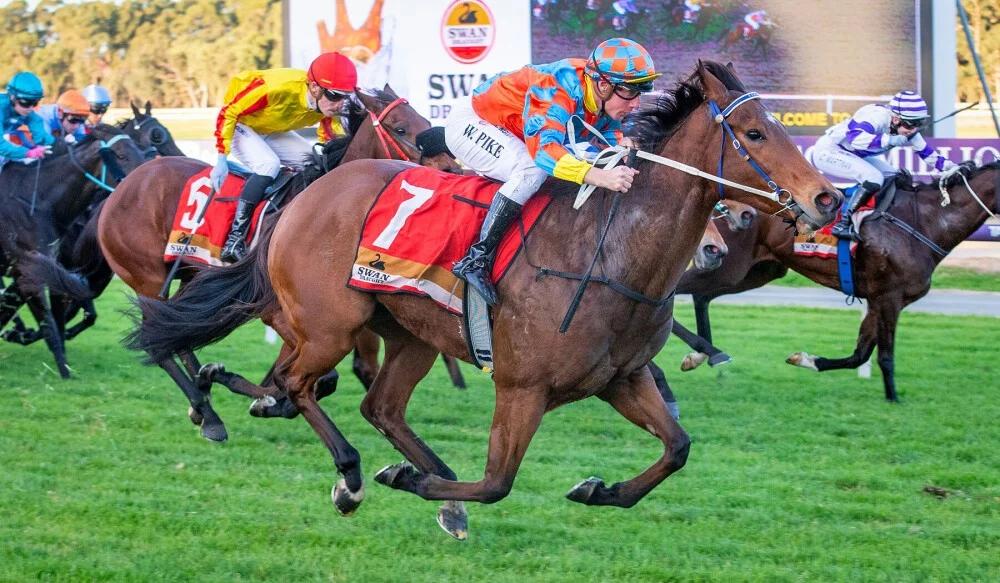 horse-image