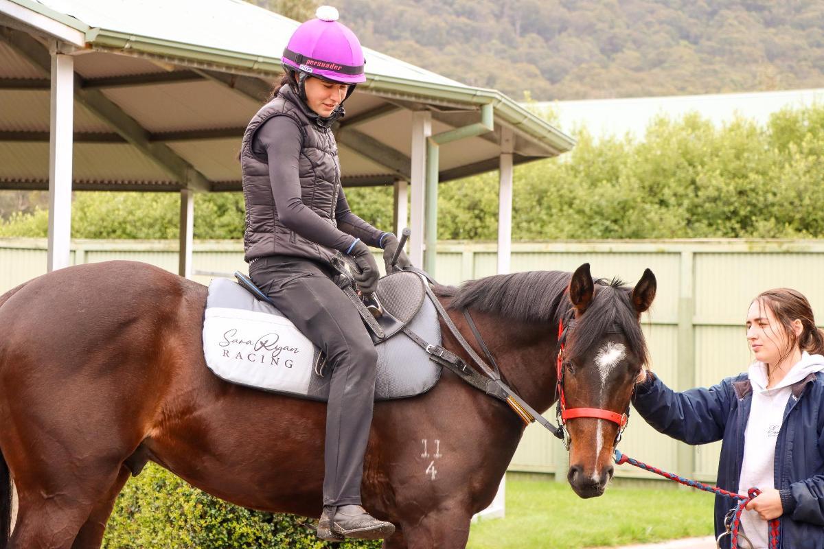 So You Think 2yo colt
