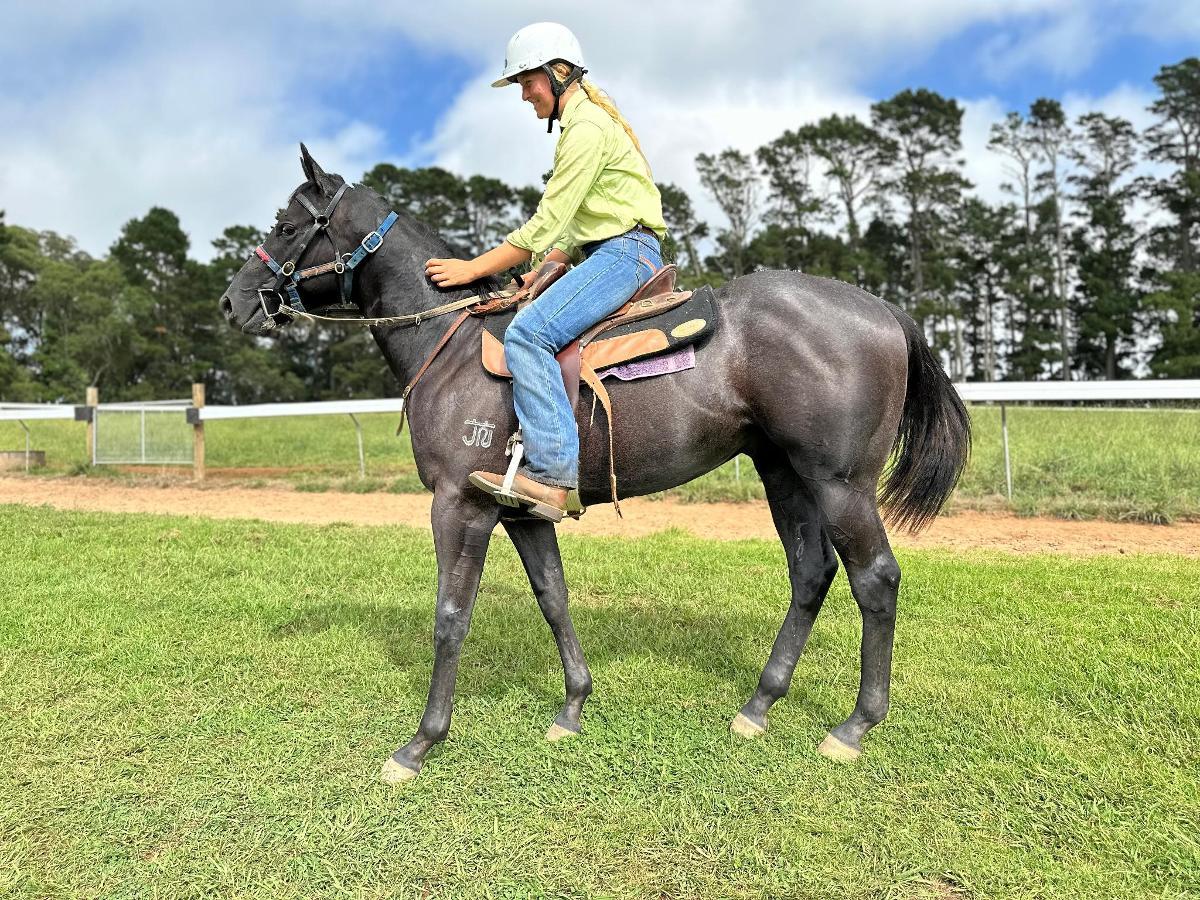 D'Argento x Terminally Pretty