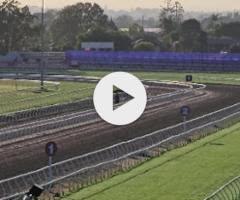 Ave Cantare (2yo filly by Microphone)