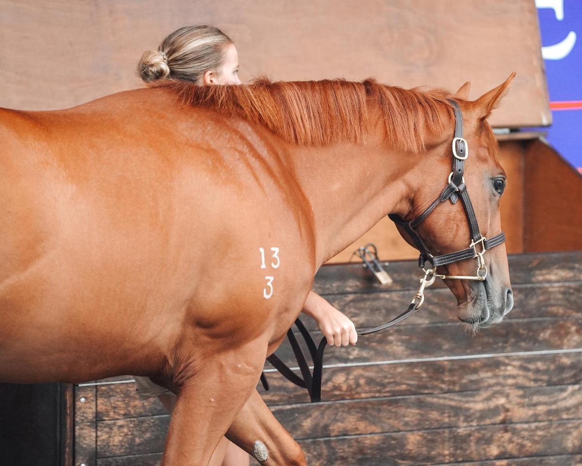 Ole Kirk X Ineffable