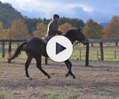 Pierro x La Scopa