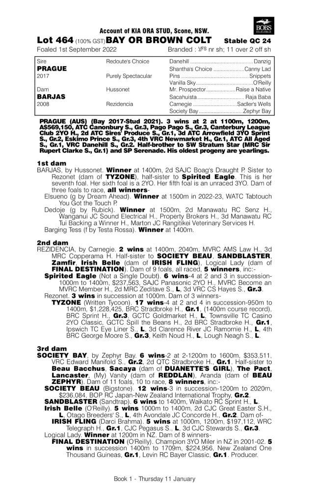 Prague x Barjas '22 Colt