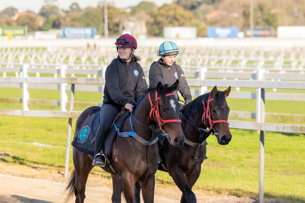 Pierro/Poetic Harmony '24