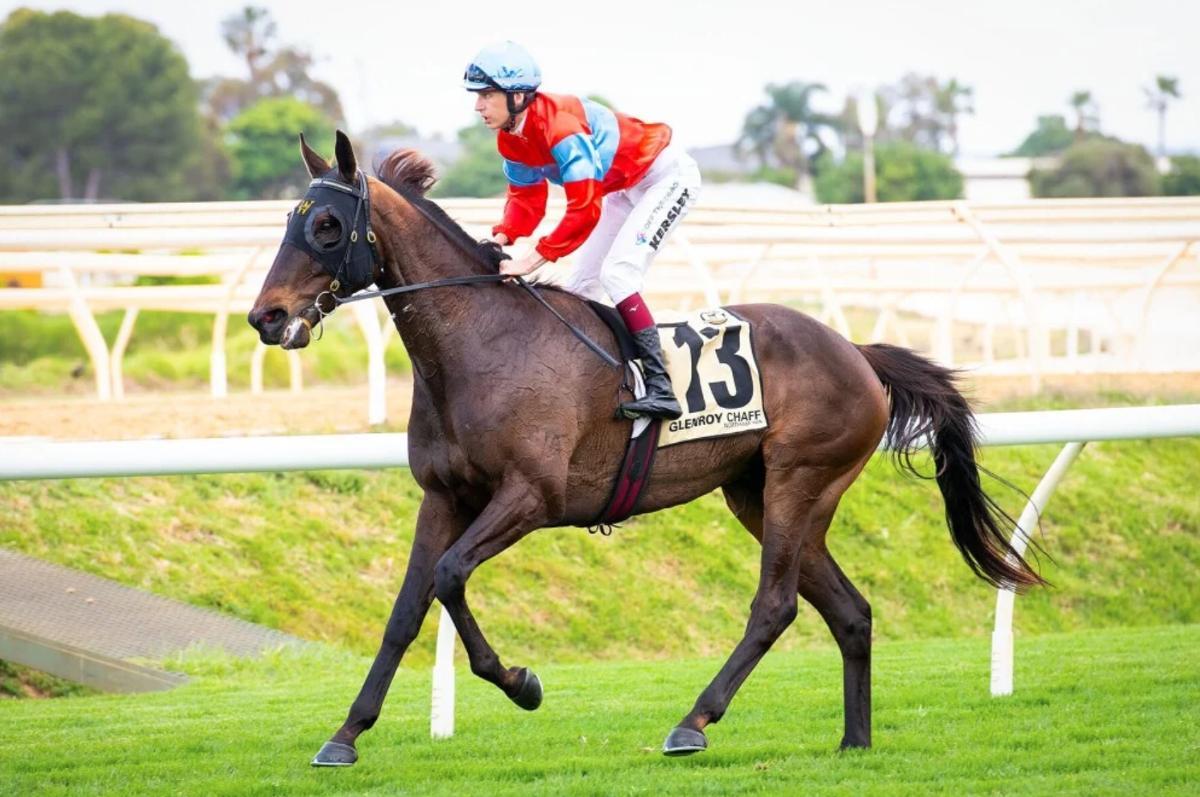 horse-image