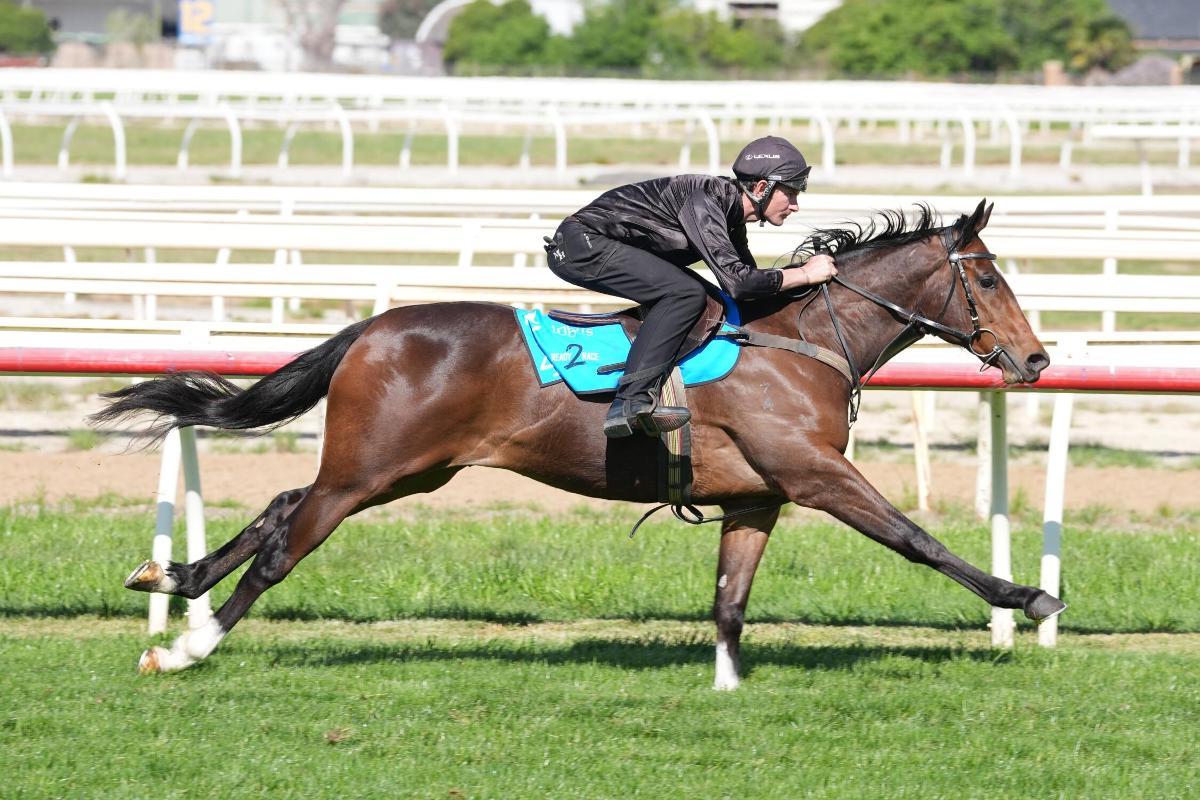 horse-image