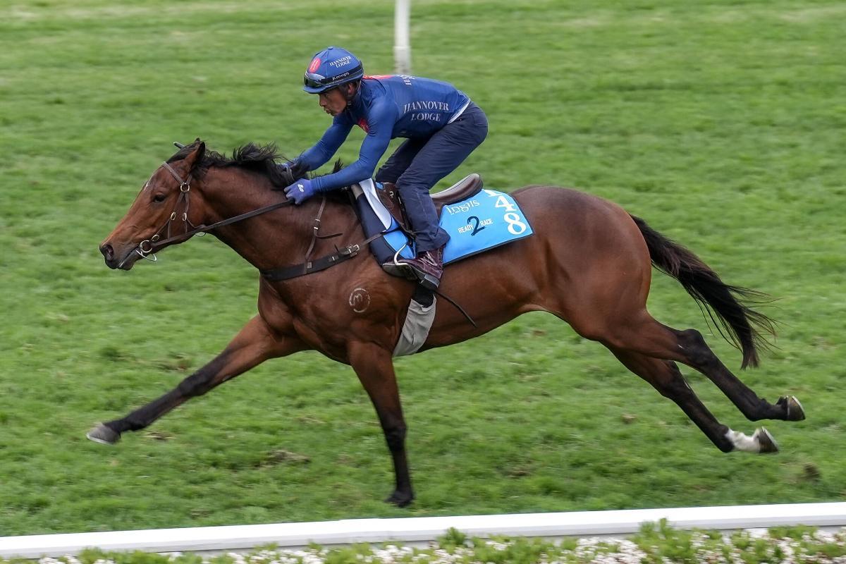 horse-image