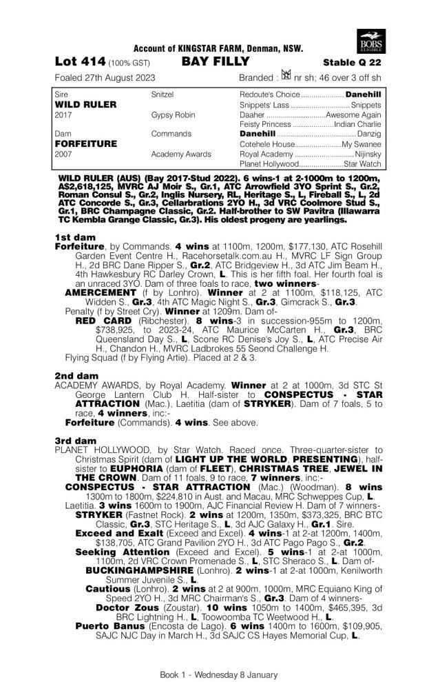 Wild Ruler x Forfeiture '23 Filly