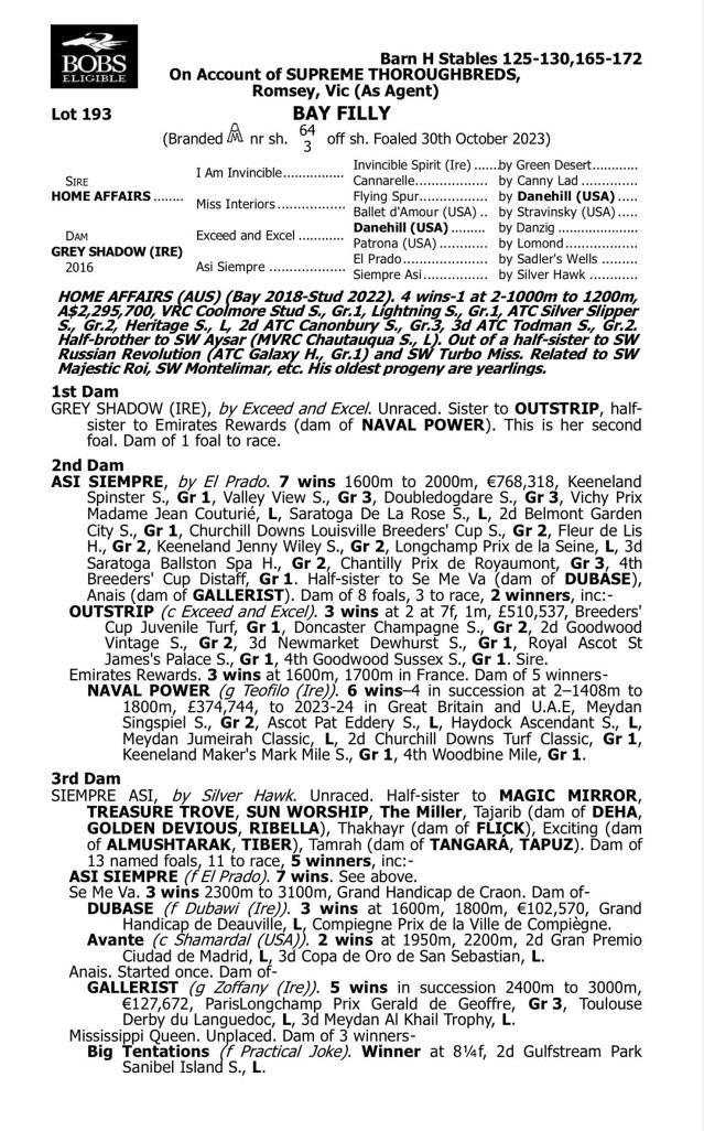 Home Affairs x Grey Shadow '23 Filly