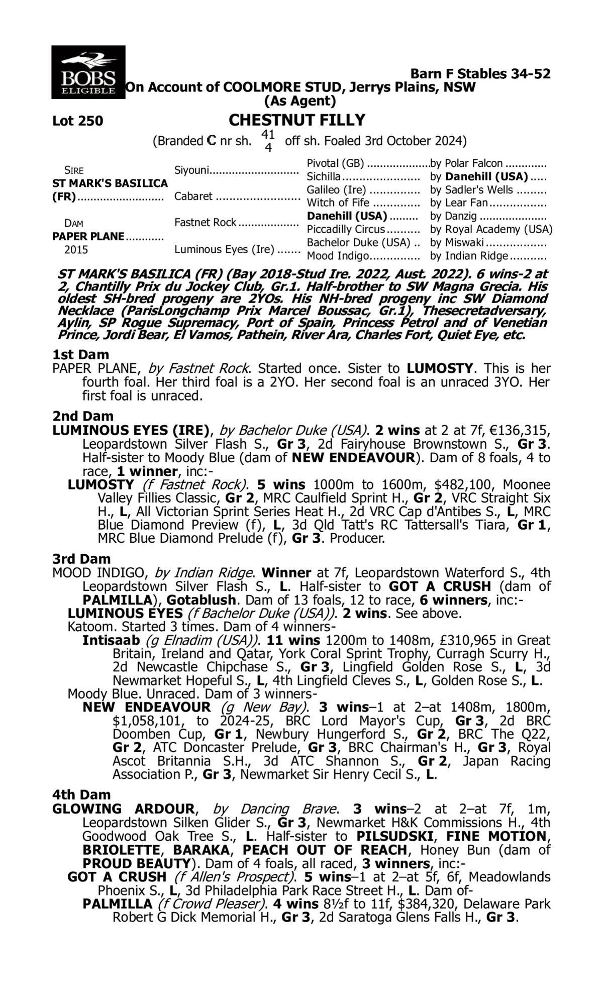 St Mark's Basilica x Paper Plane '24 Filly