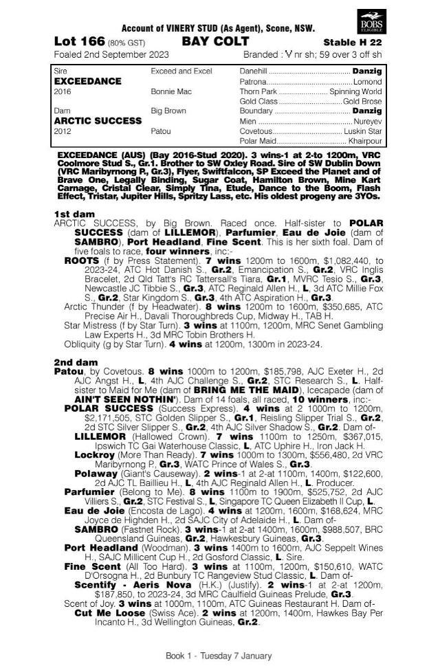 EXCEEDANCE x ARCTIC SUCCESS COLT 23'