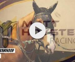 Sejardan X Neighbourhood filly