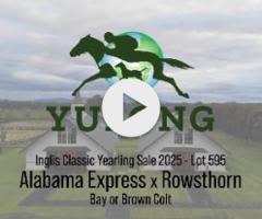 Alabama Express x Rowsthorn