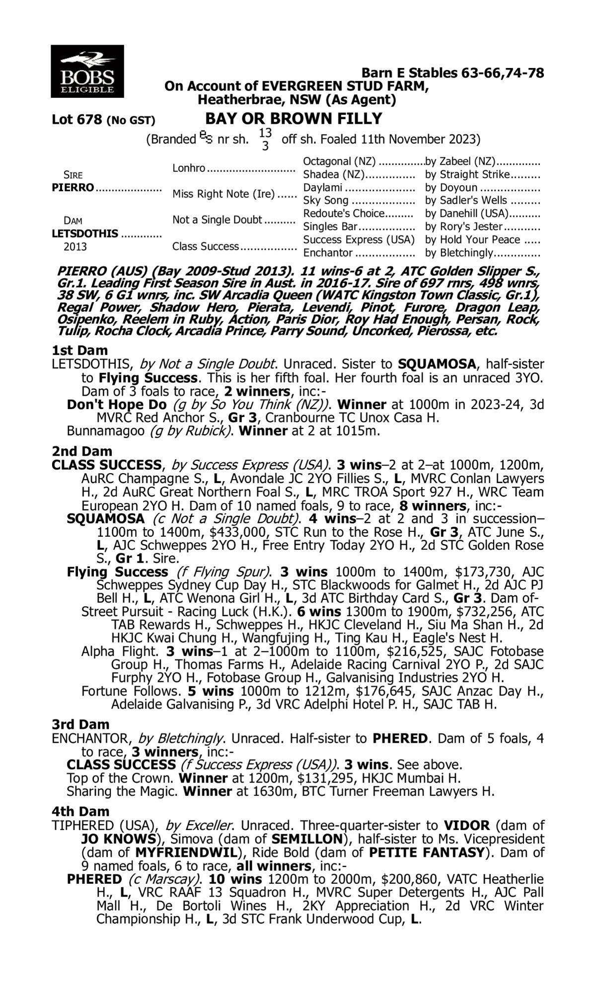 Pierro x Letsdothis Filly