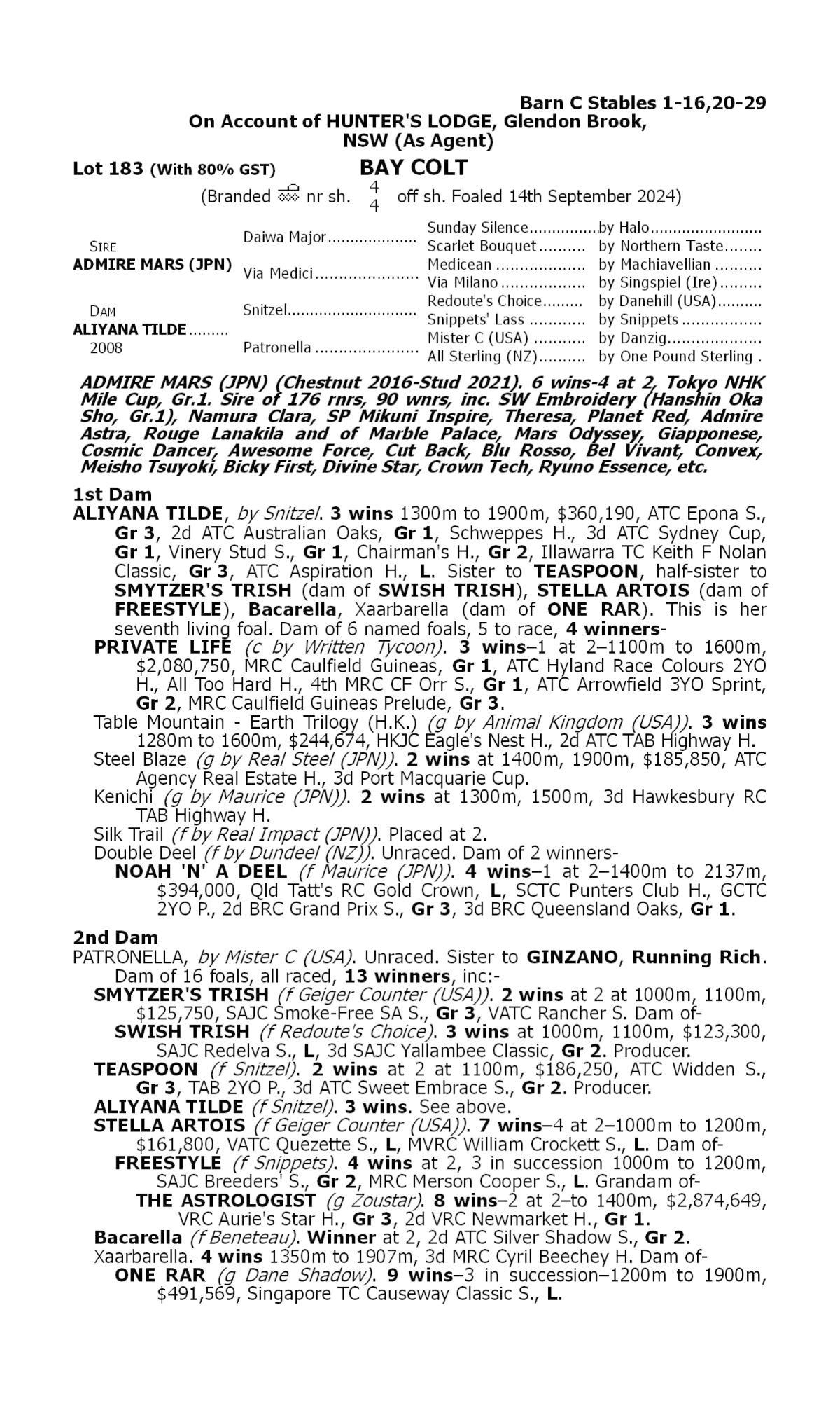 Admire Mars x Aliyana Tilde Colt