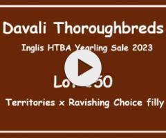 Territories x Ravishing Choice