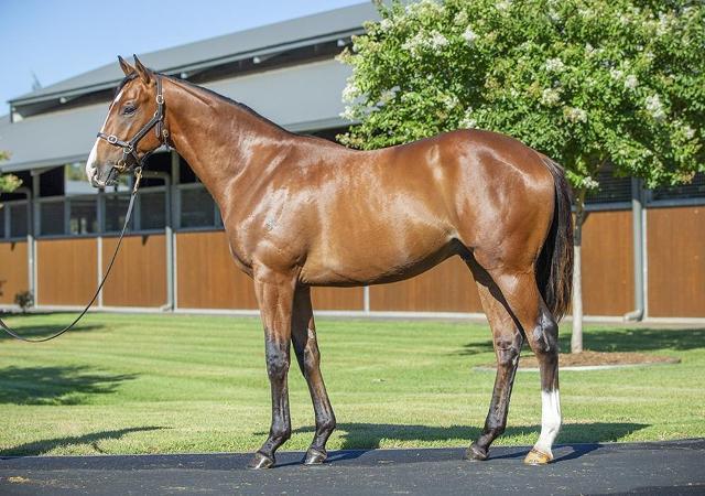 Snitzel/Debonnaire '23