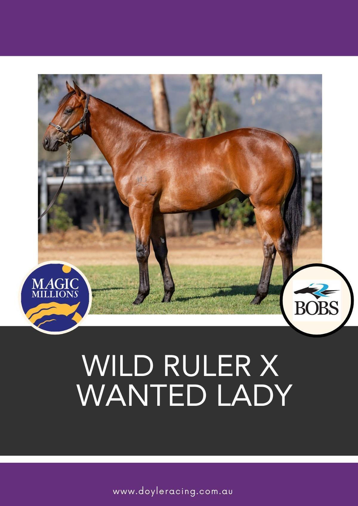 Wild Ruler x Wanted Lady