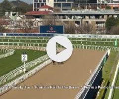 Pierro/Poetic Harmony '24