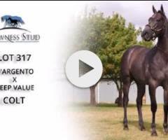 D’Argento x Deep Value
